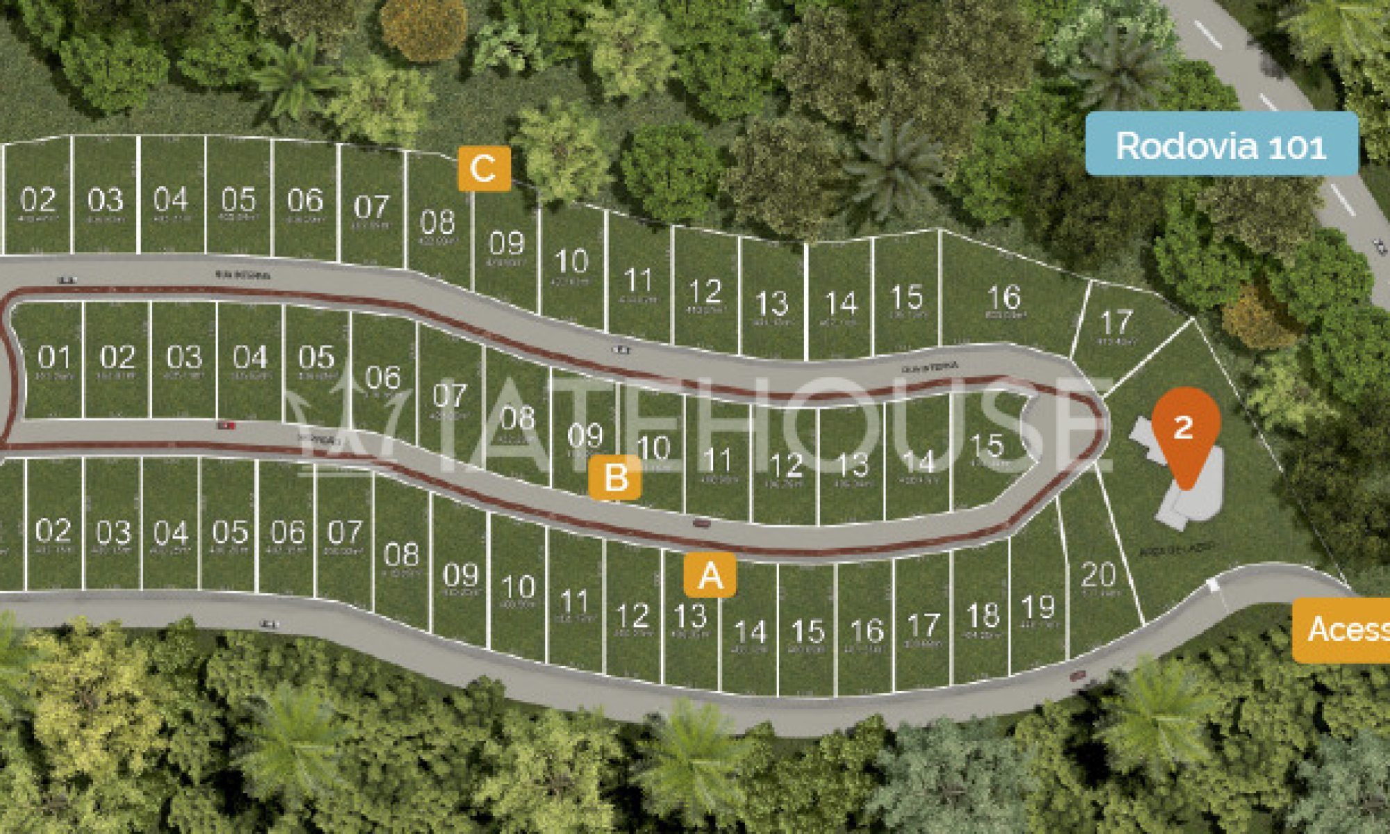 20201021063132-plantas2-1